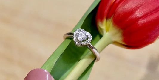 The Perfect Mother’s Day Gift
